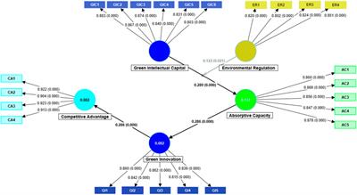 Driving sustainable competitiveness: unveiling the nexus of green intellectual capital and environmental regulations on greening SME performance